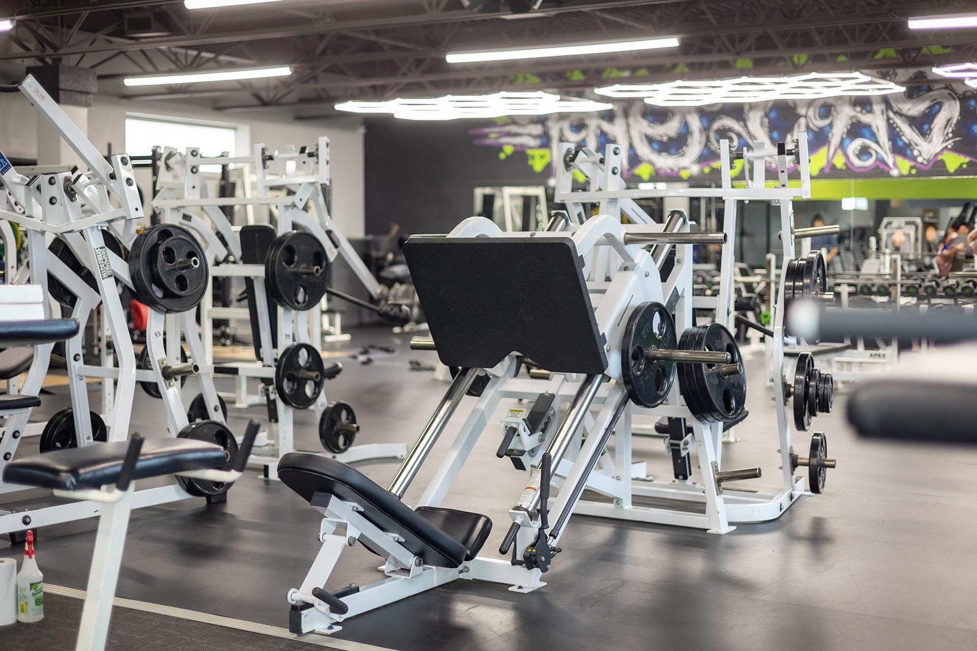 Massive Gym Floor